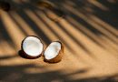 Uundværlige kokosmåtter til ethvert hjem